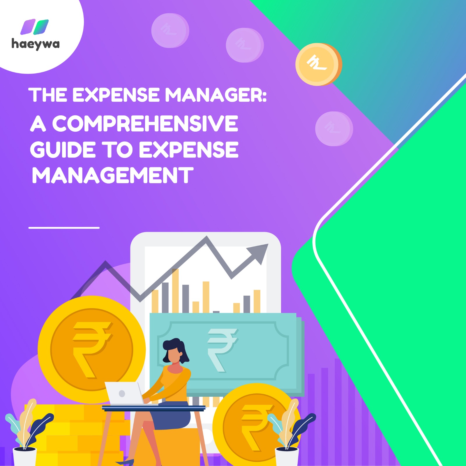 The Expense Manager: A Comprehensive Guide to Expense Management Introduction
